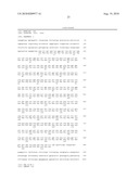 L-AMINO ACID-PRODUCING BACTERIUM AND A METHOD FOR PRODUCING AN L-AMINO ACID diagram and image