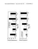 MODIFIED-IMMOBILIZED ENZYMES OF HIGH TOLERANCE TO HYDROPHILIC SUBSTRATES IN ORGANIC MEDIA diagram and image