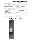 PERMANENT INACTIVATION OF NUCLEASES diagram and image