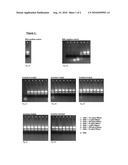 PERMANENT INACTIVATION OF NUCLEASES diagram and image