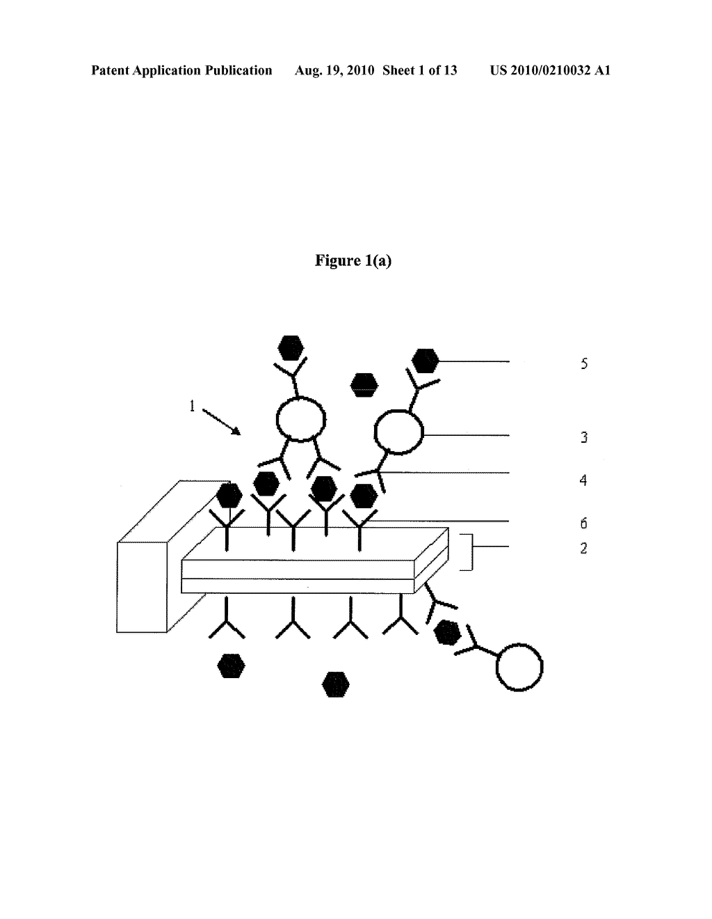 SPECIFICITY AND SENSITIVITY ENHANCEMENT IN CANTILEVER SENSING - diagram, schematic, and image 02