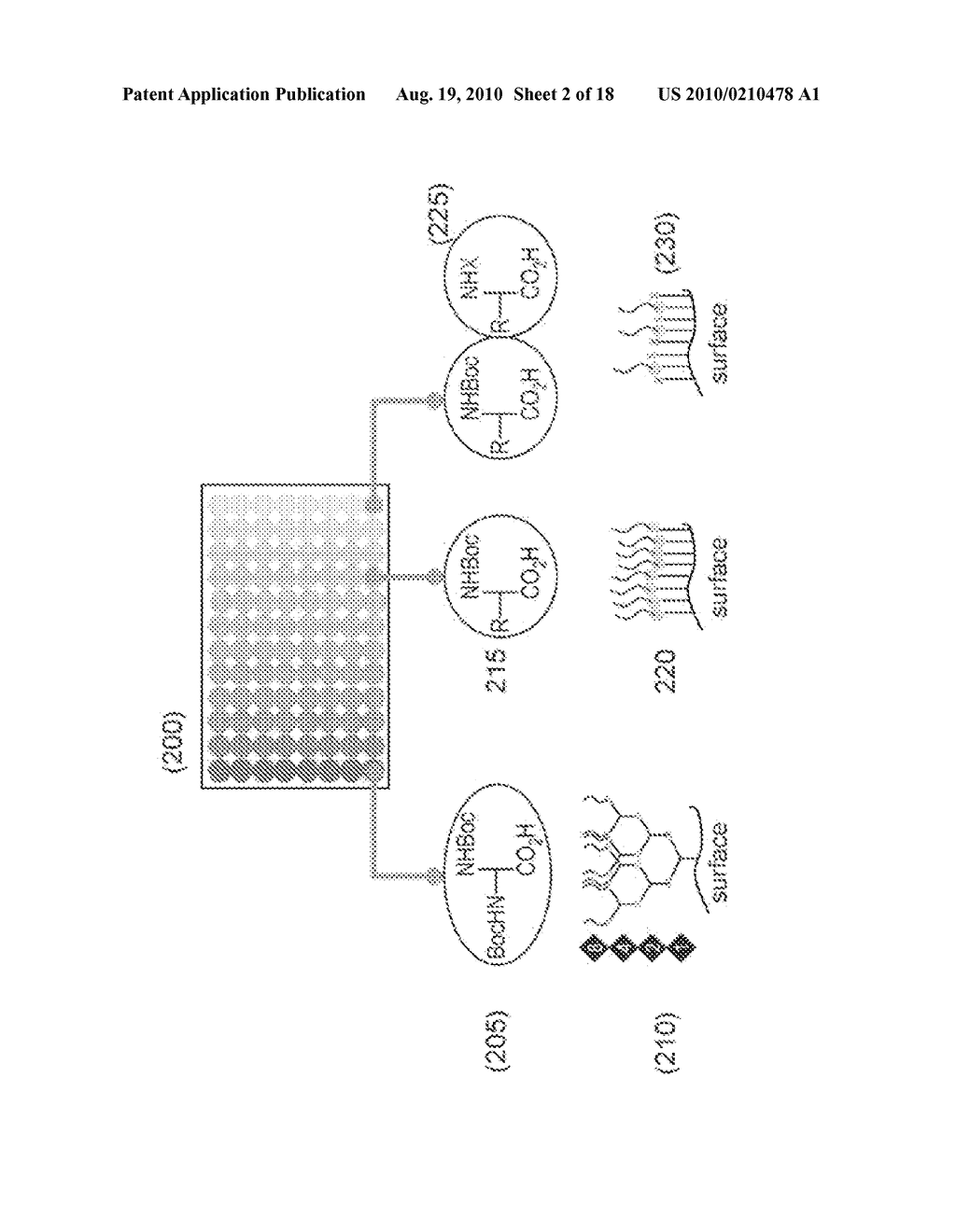 MAKE AND USE OF SURFACE MOLECULES OF VARIED DENSITIES - diagram, schematic, and image 03