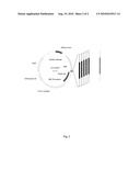 RNAi Inhibition of Alpha-ENaC Expression diagram and image