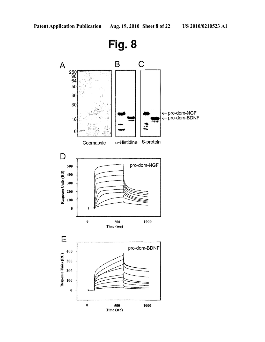 MODULATION OF ACTIVITY OF PRONEUROTROPHINS - diagram, schematic, and image 09