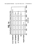 COMBINATION CHEMOTHERAPY WITH CHLOROTOXIN diagram and image