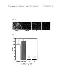 BIS(TRIMETHYLSILYL)PHENYL COMPOUND OR SALT THEREOF, AND USE THEREOF diagram and image