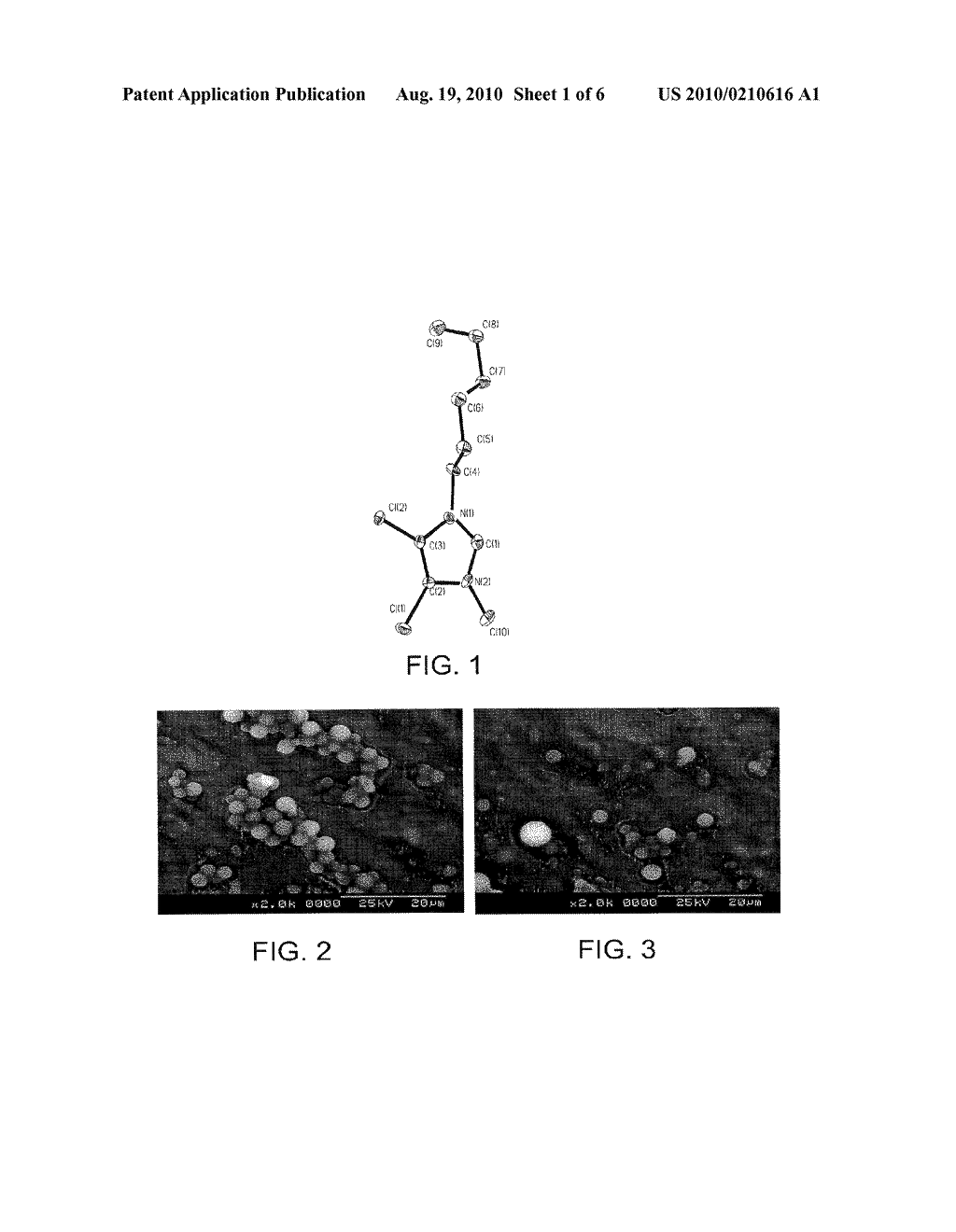 METAL COMPLEXES INCORPORATED WITHIN BIODEGRADABLE NANOPARTICLES AND THEIR USE - diagram, schematic, and image 02