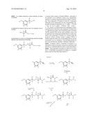 SUBSTITUTED 2-[2-(PHENYL) ETHYLAMINO] ALKANEAMIDE DERIVATIVES AND THEIR USE AS SODIUM AND/OR CALCIUM CHANNEL MODULATORS diagram and image