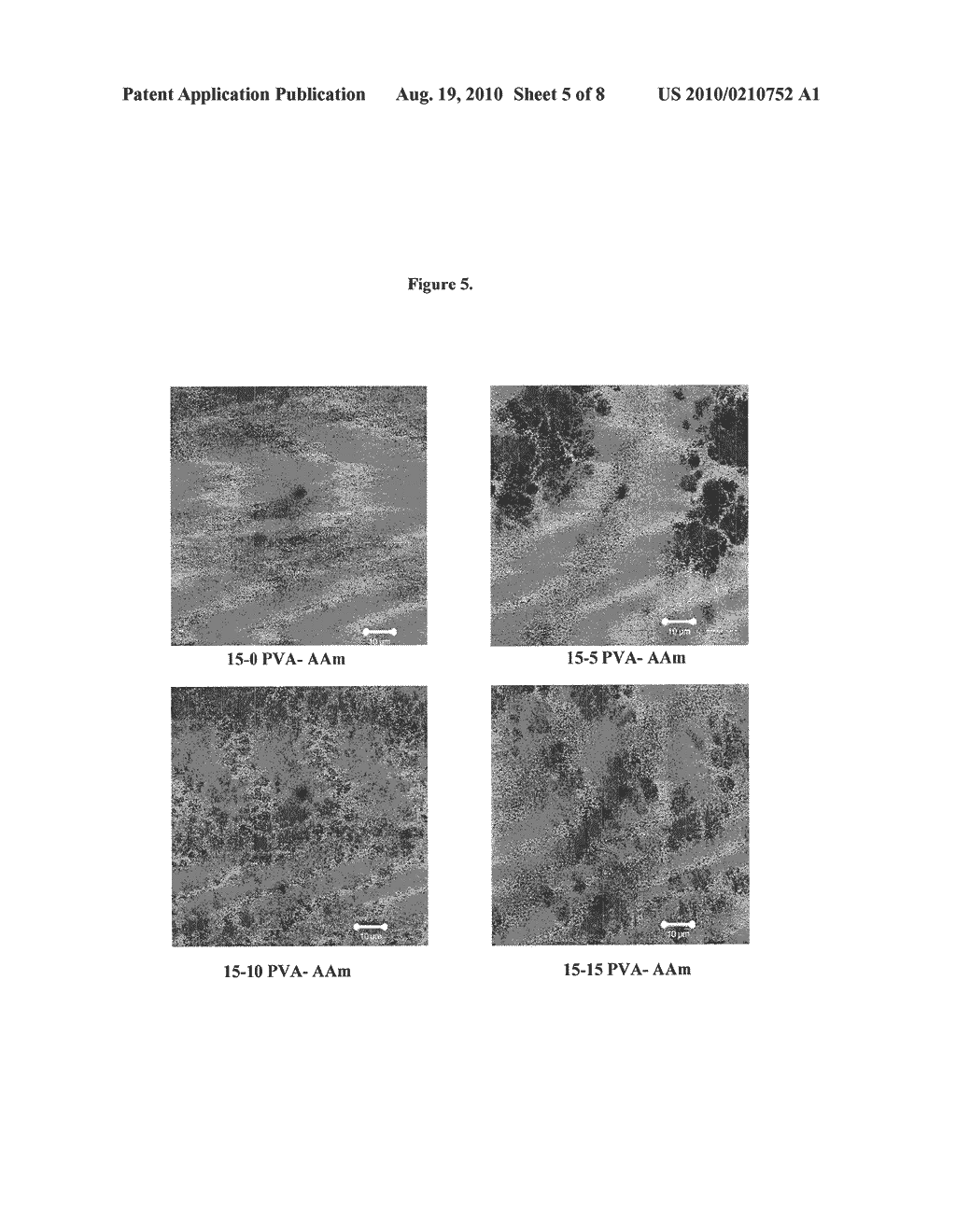 PVA HYDROGELS HAVING IMPROVED CREEP RESISTANCE, LUBRICITY, AND TOUGHNESS - diagram, schematic, and image 06