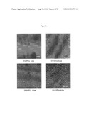 PVA HYDROGELS HAVING IMPROVED CREEP RESISTANCE, LUBRICITY, AND TOUGHNESS diagram and image