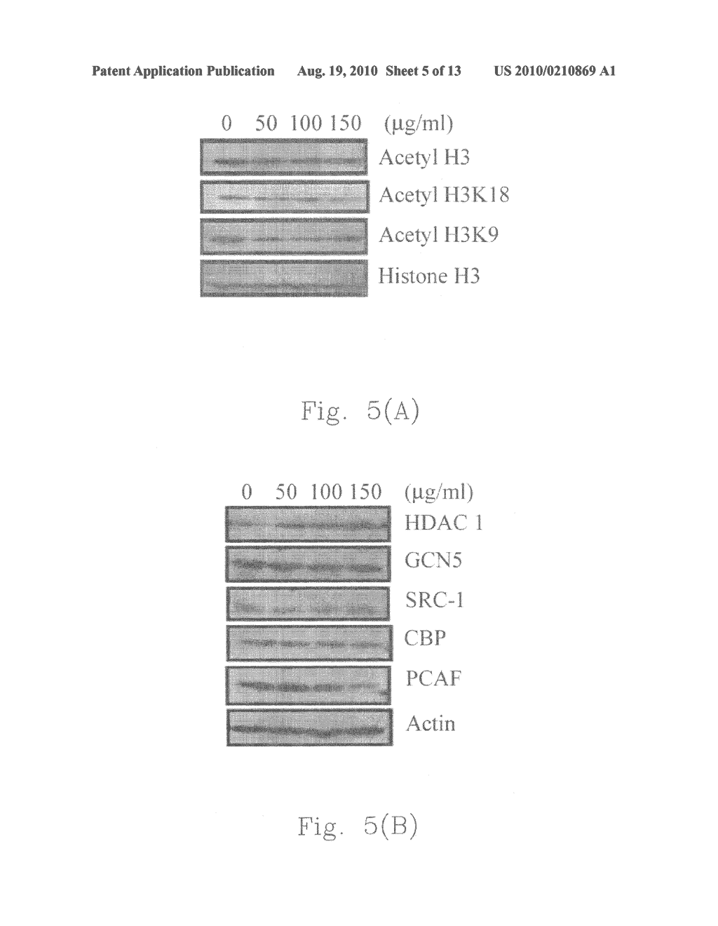 ETHANOL EXTRACT OF ANTRODIA CAMPHORATA FOR INDUCING APOPTOSIS AND PREPARATION METHOD THEREOF - diagram, schematic, and image 06