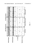 SCALE-TYPE NONCONSTRAINED HEALTH CONDITION EVALUATING APPARATUS AND METHOD diagram and image