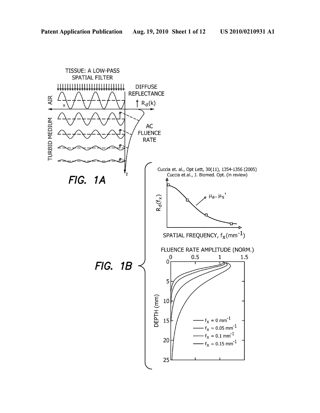 METHOD FOR PERFORMING QUALITATIVE AND QUANTITATIVE ANALYSIS OF WOUNDS USING SPATIALLY STRUCTURED ILLUMINATION - diagram, schematic, and image 02