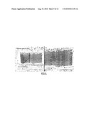 SURFACE COATING PROCESSES AND USES OF SAME diagram and image