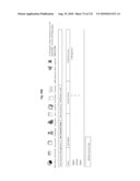 WORKER AND DOCUMENT MANAGEMENT SYSTEM diagram and image