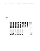 METHOD FOR THE SELECTION OF PLANTS WITH SPECIFIC MUTATIONS diagram and image