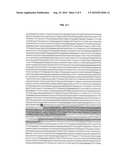 PROMOTOR SEQUENCE AND GENE CONSTRUCT FOR INCREASING CROP YIELD IN TOMATO diagram and image