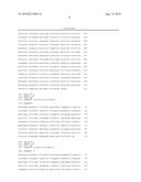 PROMOTOR SEQUENCE AND GENE CONSTRUCT FOR INCREASING CROP YIELD IN TOMATO diagram and image