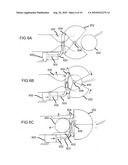 AUTOMATED FRUIT HARVESTING APPARATUS diagram and image