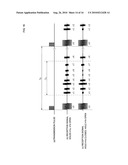 Operation-Position Detector and Application Thereof diagram and image