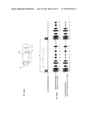 Operation-Position Detector and Application Thereof diagram and image