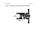 Reverse Iron Ore Flotation By Collectors In Aqueous Nanoemulsion diagram and image