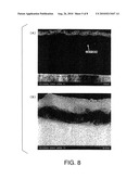 VERTICAL ORGANIC TRANSISTOR, METHOD FOR MANUFACTURING THE VERTICAL ORGANIC TRANSISTOR, AND LIGHT EMITTING ELEMENT diagram and image