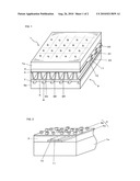 PLASMA DISPLAY PANEL diagram and image