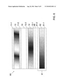 IMAGE DISPLAY CAPABLE OF BEING AN ELECTRONIC CURTAIN diagram and image