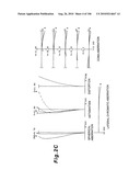 ZOOMING OPTICAL SYSTEM, OPTICAL APPARATUS AND ZOOMING OPTICAL SYSTEM MANUFACTURING METHOD diagram and image