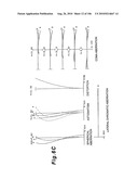 ZOOMING OPTICAL SYSTEM, OPTICAL APPARATUS AND ZOOMING OPTICAL SYSTEM MANUFACTURING METHOD diagram and image