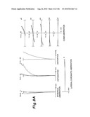 ZOOMING OPTICAL SYSTEM, OPTICAL APPARATUS AND ZOOMING OPTICAL SYSTEM MANUFACTURING METHOD diagram and image