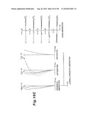 ZOOMING OPTICAL SYSTEM, OPTICAL APPARATUS AND ZOOMING OPTICAL SYSTEM MANUFACTURING METHOD diagram and image