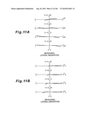 ZOOMING OPTICAL SYSTEM, OPTICAL APPARATUS AND ZOOMING OPTICAL SYSTEM MANUFACTURING METHOD diagram and image