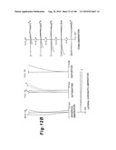 ZOOMING OPTICAL SYSTEM, OPTICAL APPARATUS AND ZOOMING OPTICAL SYSTEM MANUFACTURING METHOD diagram and image