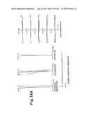 ZOOMING OPTICAL SYSTEM, OPTICAL APPARATUS AND ZOOMING OPTICAL SYSTEM MANUFACTURING METHOD diagram and image