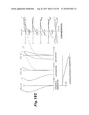 ZOOMING OPTICAL SYSTEM, OPTICAL APPARATUS AND ZOOMING OPTICAL SYSTEM MANUFACTURING METHOD diagram and image