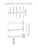 ZOOMING OPTICAL SYSTEM, OPTICAL APPARATUS AND ZOOMING OPTICAL SYSTEM MANUFACTURING METHOD diagram and image