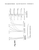 ZOOMING OPTICAL SYSTEM, OPTICAL APPARATUS AND ZOOMING OPTICAL SYSTEM MANUFACTURING METHOD diagram and image