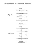 ZOOMING OPTICAL SYSTEM, OPTICAL APPARATUS AND ZOOMING OPTICAL SYSTEM MANUFACTURING METHOD diagram and image