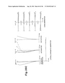 ZOOMING OPTICAL SYSTEM, OPTICAL APPARATUS AND ZOOMING OPTICAL SYSTEM MANUFACTURING METHOD diagram and image