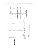 ZOOMING OPTICAL SYSTEM, OPTICAL APPARATUS AND ZOOMING OPTICAL SYSTEM MANUFACTURING METHOD diagram and image