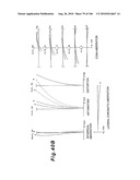 ZOOMING OPTICAL SYSTEM, OPTICAL APPARATUS AND ZOOMING OPTICAL SYSTEM MANUFACTURING METHOD diagram and image