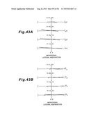 ZOOMING OPTICAL SYSTEM, OPTICAL APPARATUS AND ZOOMING OPTICAL SYSTEM MANUFACTURING METHOD diagram and image