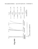 ZOOMING OPTICAL SYSTEM, OPTICAL APPARATUS AND ZOOMING OPTICAL SYSTEM MANUFACTURING METHOD diagram and image