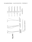 ZOOMING OPTICAL SYSTEM, OPTICAL APPARATUS AND ZOOMING OPTICAL SYSTEM MANUFACTURING METHOD diagram and image