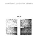 LASER OSCILLATOR AND LASER BEAM OSCILLATION METHOD diagram and image