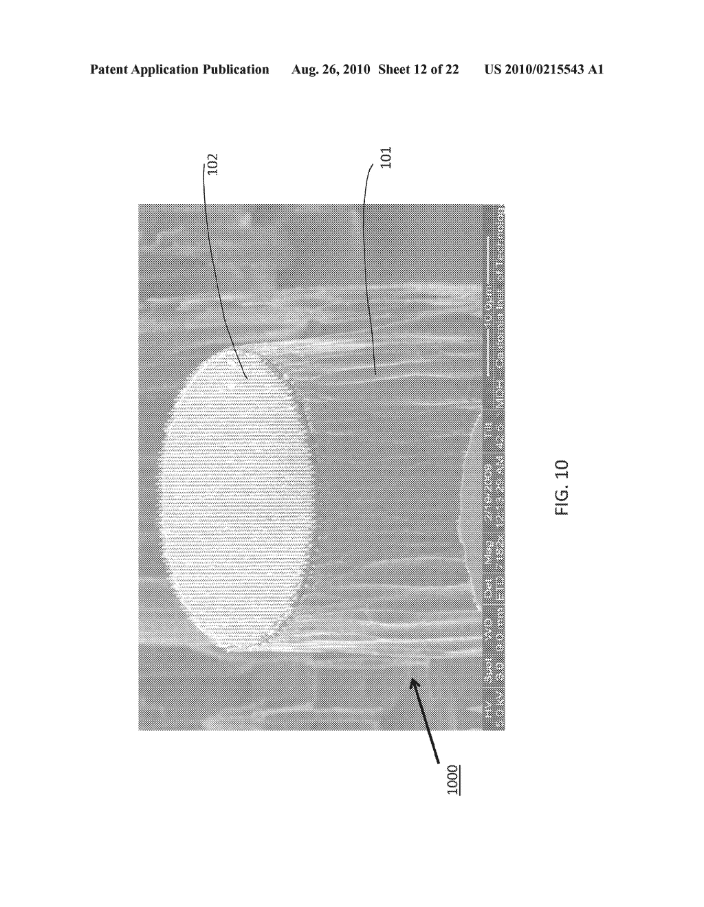 METHODS FOR FABRICATING HIGH ASPECT RATIO PROBES AND DEFORMING HIGH ASPECT RATIO NANOPILLARS AND MICROPILLARS - diagram, schematic, and image 13