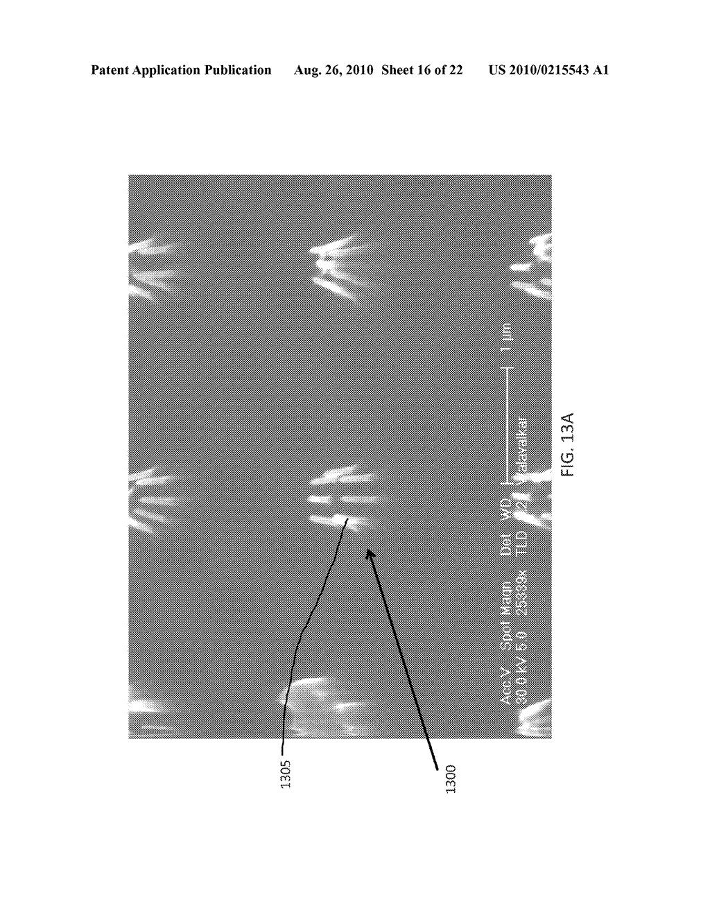 METHODS FOR FABRICATING HIGH ASPECT RATIO PROBES AND DEFORMING HIGH ASPECT RATIO NANOPILLARS AND MICROPILLARS - diagram, schematic, and image 17