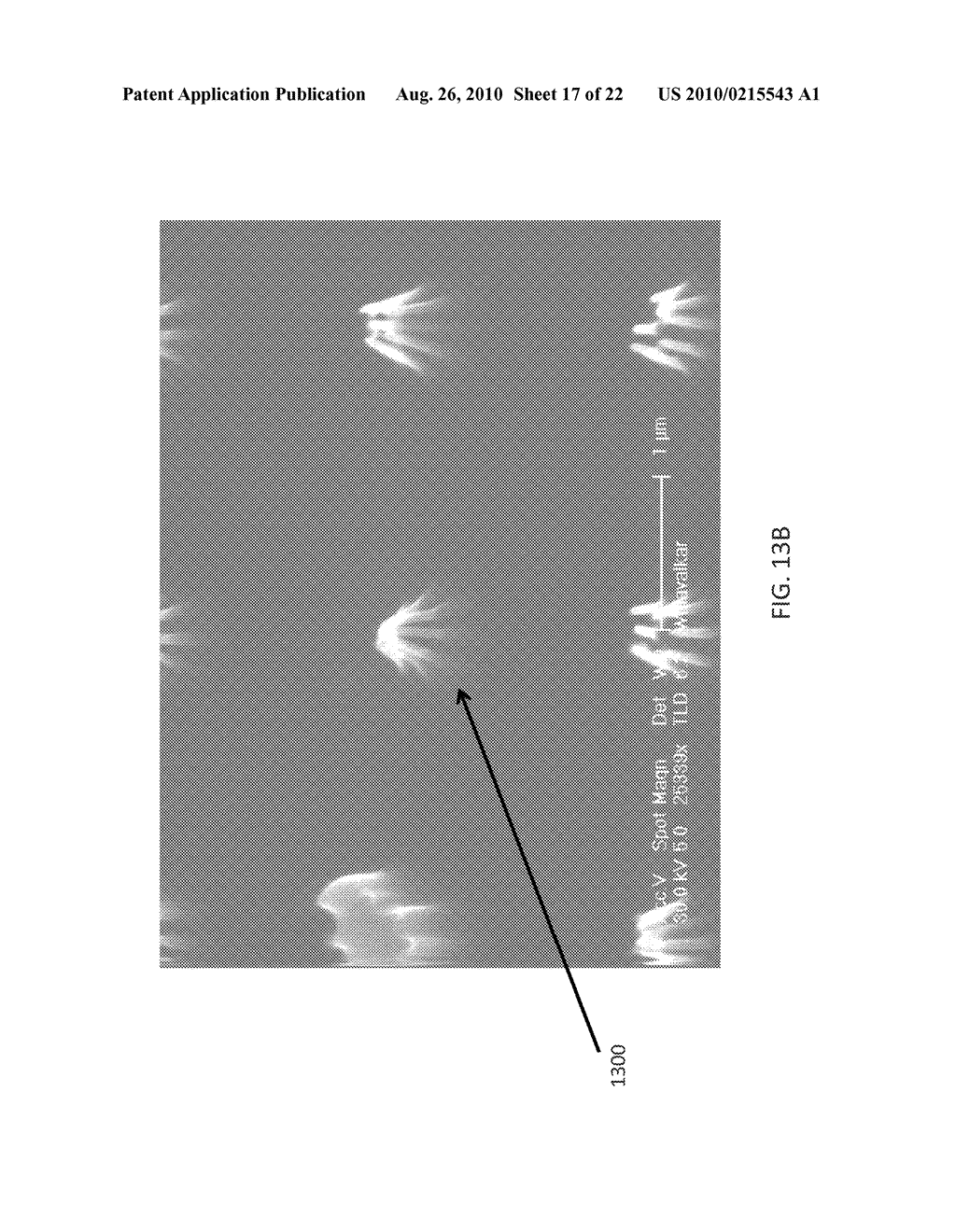 METHODS FOR FABRICATING HIGH ASPECT RATIO PROBES AND DEFORMING HIGH ASPECT RATIO NANOPILLARS AND MICROPILLARS - diagram, schematic, and image 18